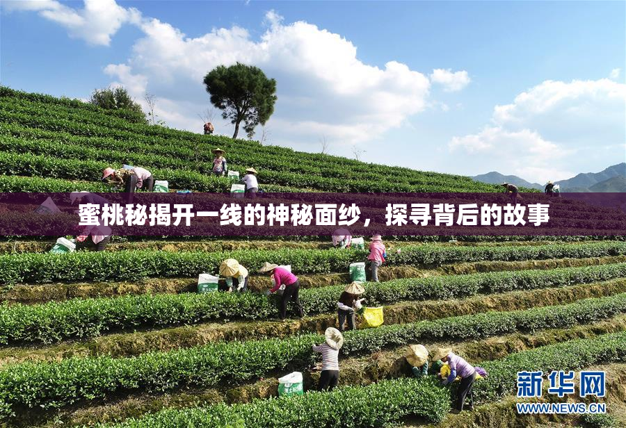 蜜桃秘揭开一线的神秘面纱，探寻背后的故事