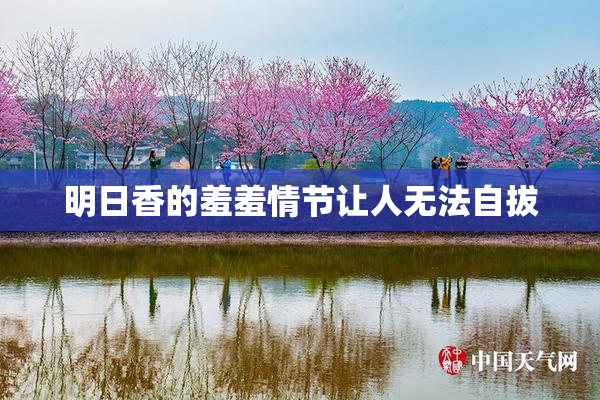 明日香的羞羞情节让人无法自拔