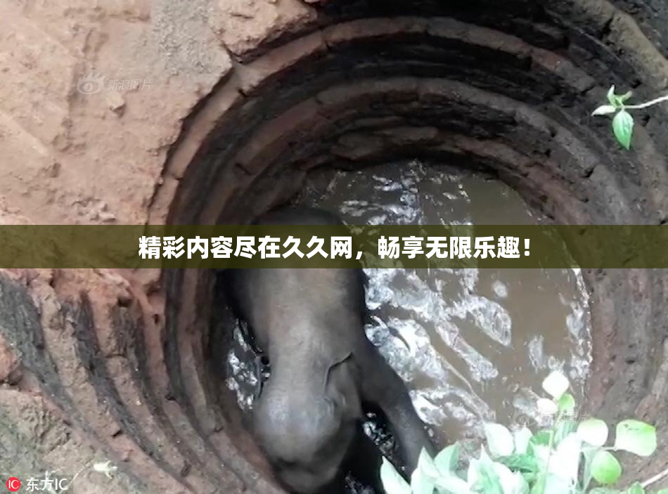 精彩内容尽在久久网，畅享无限乐趣！