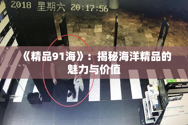 《精品91海》：揭秘海洋精品的魅力与价值