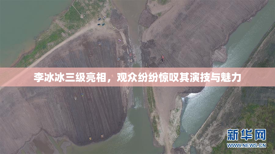 李冰冰三级亮相，观众纷纷惊叹其演技与魅力