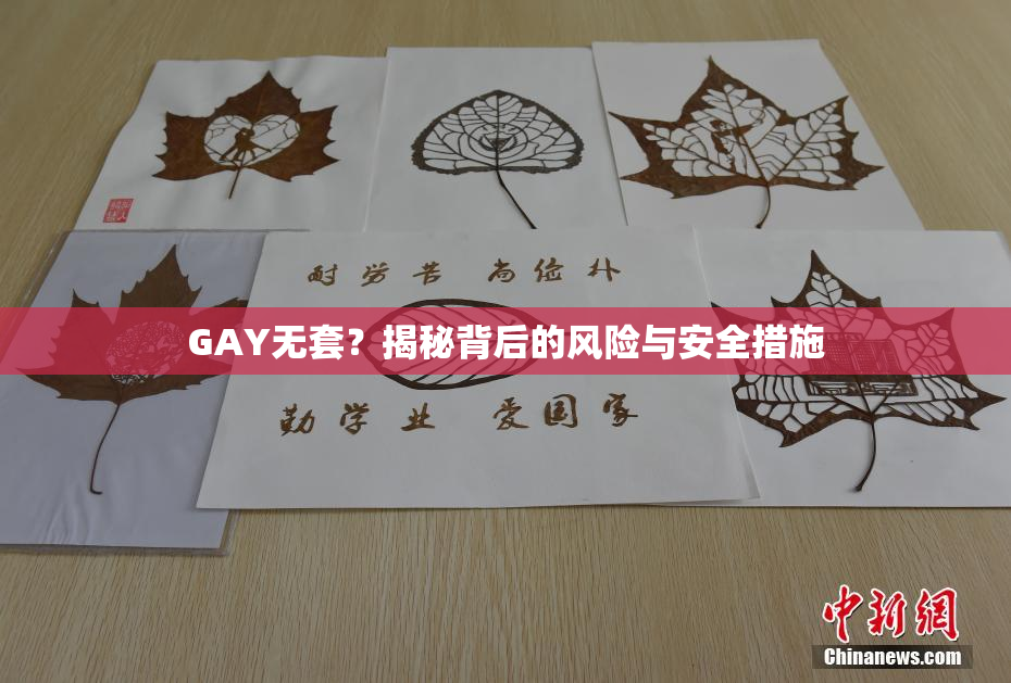 GAY无套？揭秘背后的风险与安全措施
