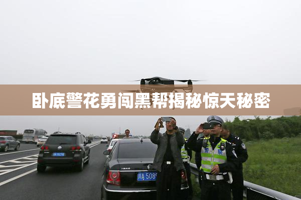 卧底警花勇闯黑帮揭秘惊天秘密