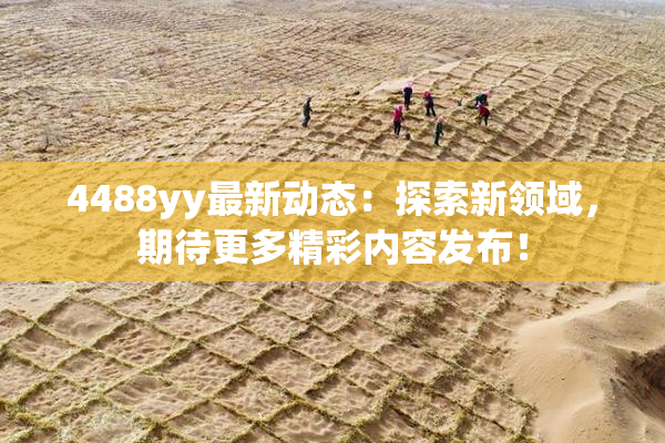 4488yy最新动态：探索新领域，期待更多精彩内容发布！