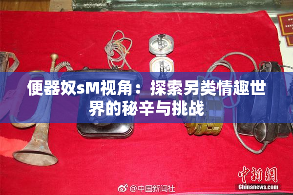 便器奴sM视角：探索另类情趣世界的秘辛与挑战
