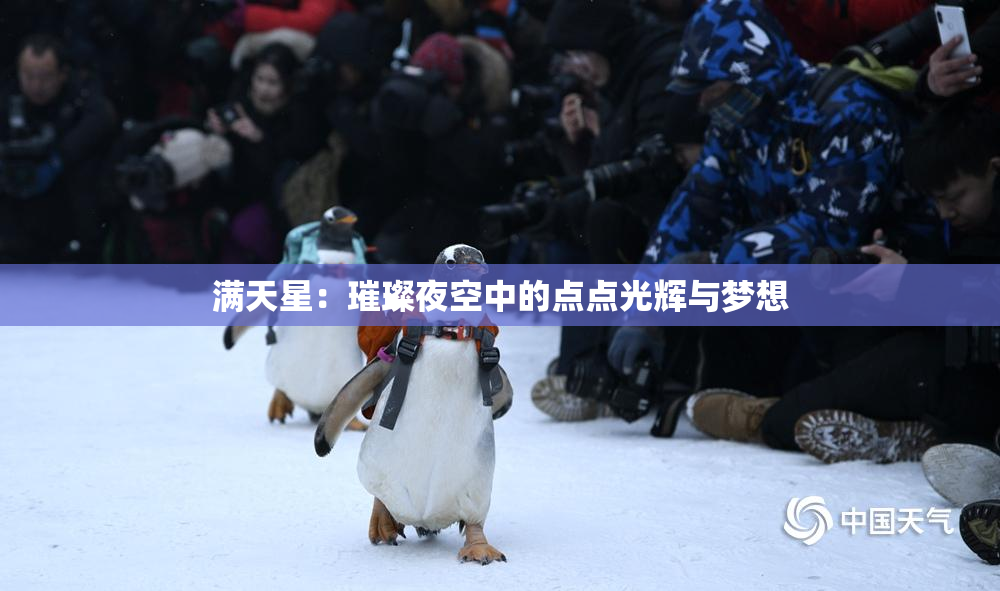 满天星：璀璨夜空中的点点光辉与梦想