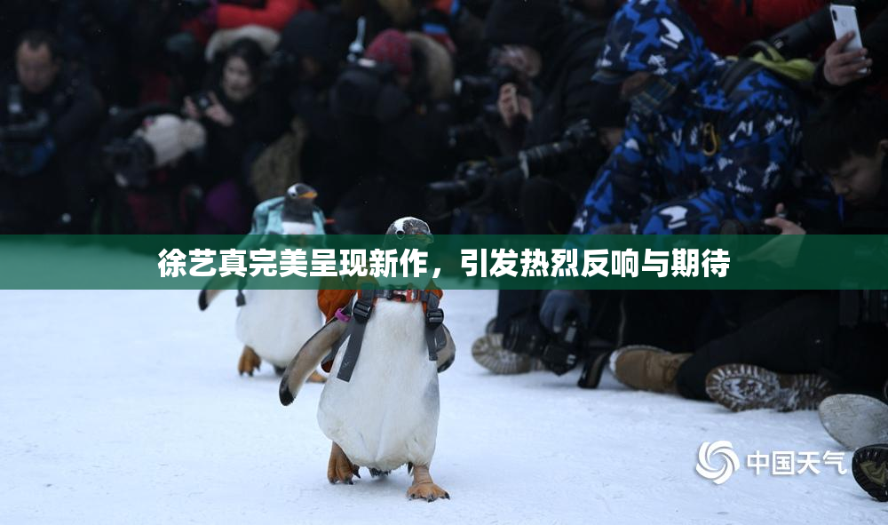 徐艺真完美呈现新作，引发热烈反响与期待