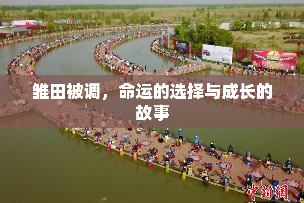 雏田被调，命运的选择与成长的故事