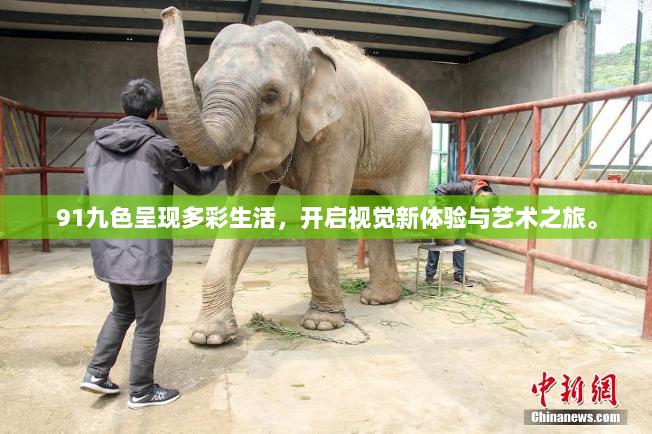 91九色呈现多彩生活，开启视觉新体验与艺术之旅。