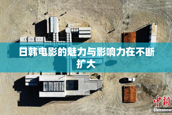 日韩电影的魅力与影响力在不断扩大