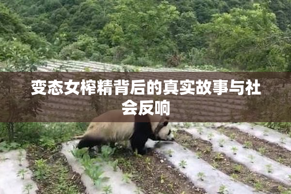 变态女榨精背后的真实故事与社会反响