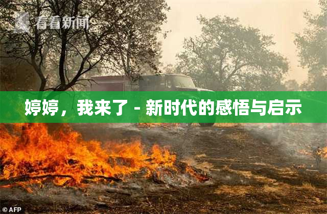 婷婷，我来了 - 新时代的感悟与启示