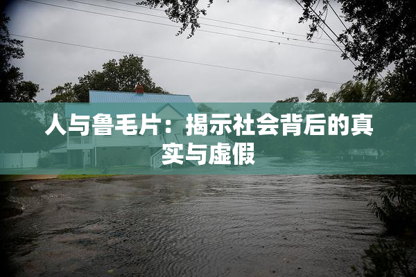 人与鲁毛片：揭示社会背后的真实与虚假