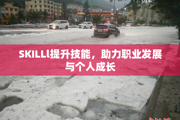 SKILLl提升技能，助力职业发展与个人成长