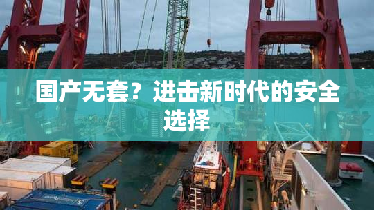 国产无套？进击新时代的安全选择