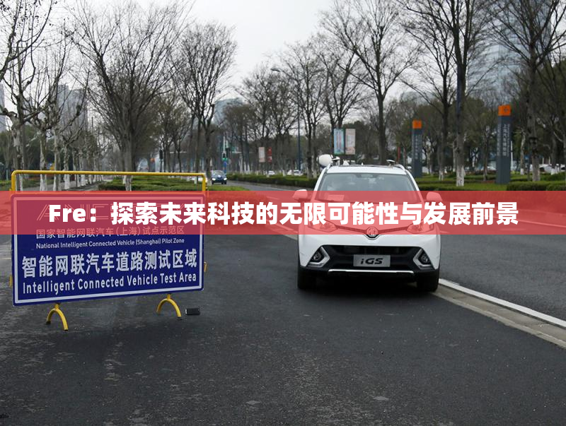 Fre：探索未来科技的无限可能性与发展前景