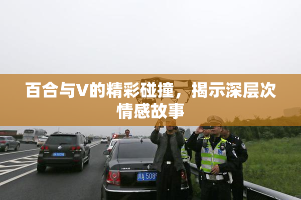 百合与V的精彩碰撞，揭示深层次情感故事
