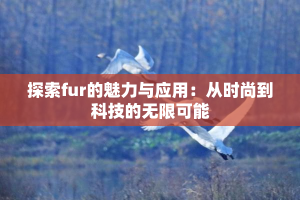 探索fur的魅力与应用：从时尚到科技的无限可能
