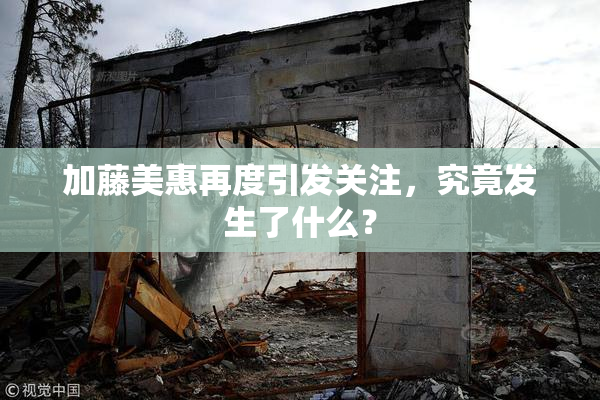 加藤美惠再度引发关注，究竟发生了什么？