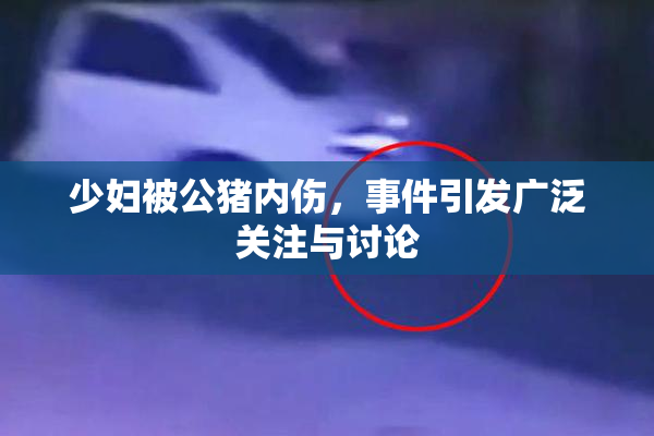 少妇被公猪内伤，事件引发广泛关注与讨论