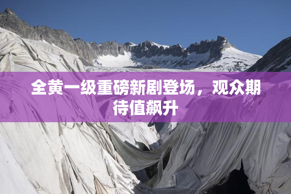 全黄一级重磅新剧登场，观众期待值飙升