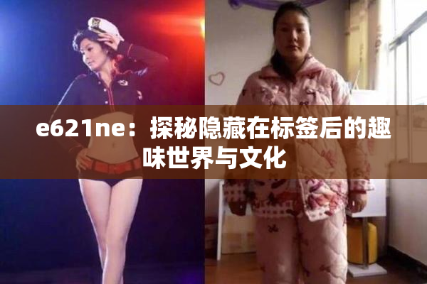 e621ne：探秘隐藏在标签后的趣味世界与文化