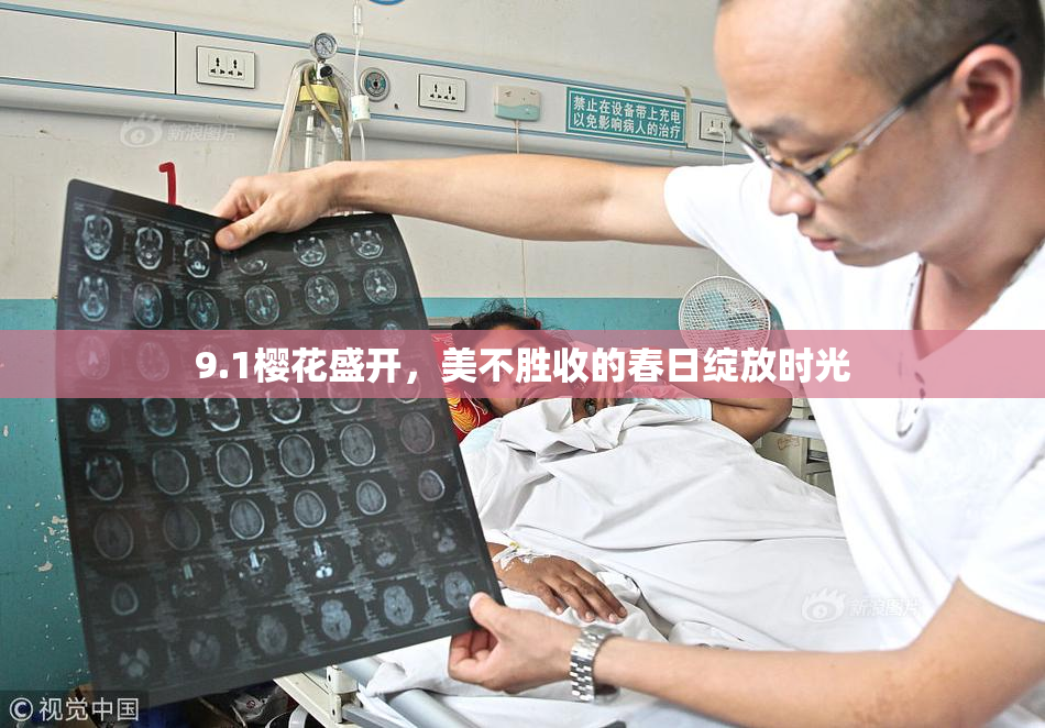 9.1樱花盛开，美不胜收的春日绽放时光