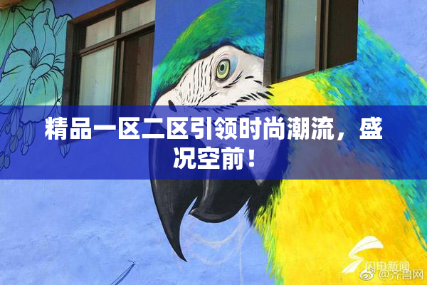 精品一区二区引领时尚潮流，盛况空前！