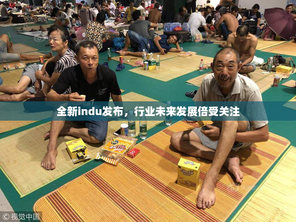 全新indu发布，行业未来发展倍受关注