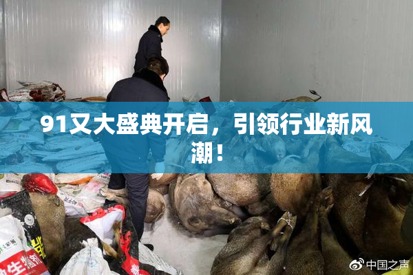 91又大盛典开启，引领行业新风潮！