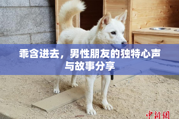 乖含进去，男性朋友的独特心声与故事分享