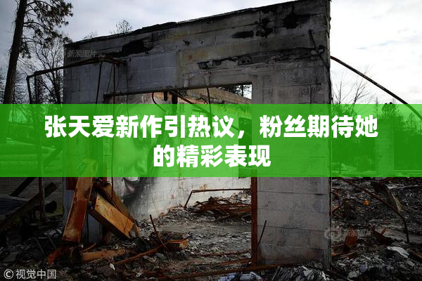 张天爱新作引热议，粉丝期待她的精彩表现
