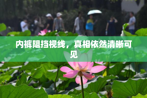 内裤阻挡视线，真相依然清晰可见