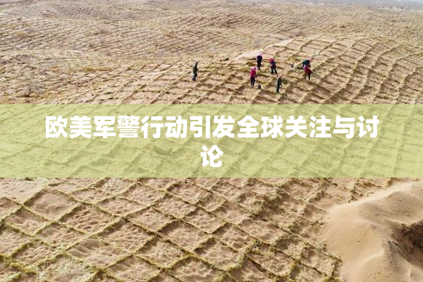 欧美军警行动引发全球关注与讨论