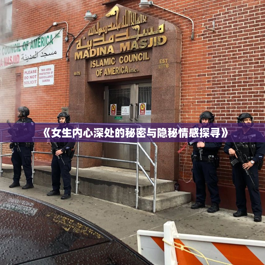 《女生内心深处的秘密与隐秘情感探寻》