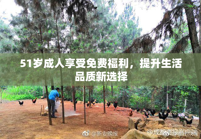 51岁成人享受免费福利，提升生活品质新选择