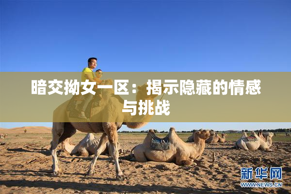 暗交拗女一区：揭示隐藏的情感与挑战