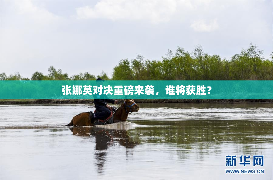 张娜英对决重磅来袭，谁将获胜？