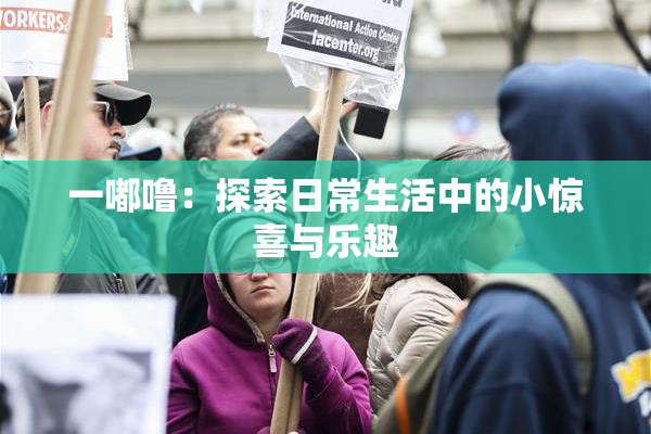 一嘟噜：探索日常生活中的小惊喜与乐趣