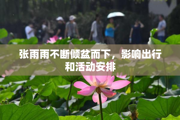 张雨雨不断倾盆而下，影响出行和活动安排