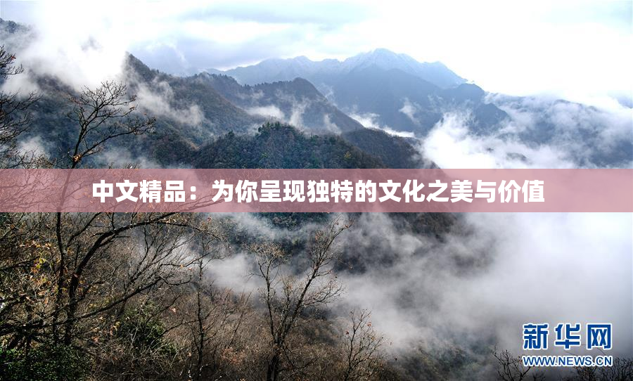 中文精品：为你呈现独特的文化之美与价值