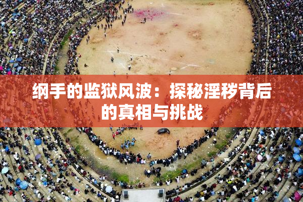 纲手的监狱风波：探秘淫秽背后的真相与挑战