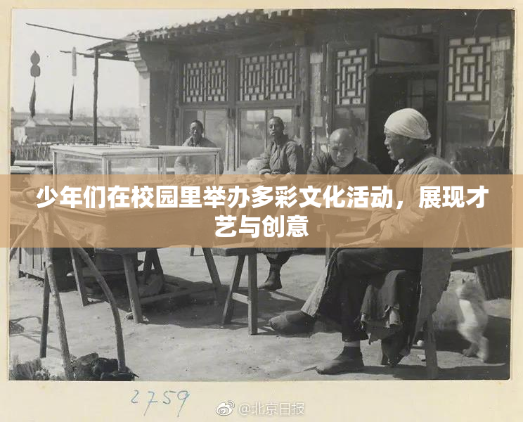 少年们在校园里举办多彩文化活动，展现才艺与创意