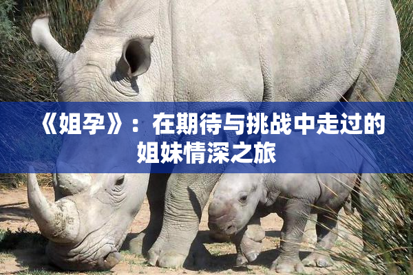 《姐孕》：在期待与挑战中走过的姐妹情深之旅