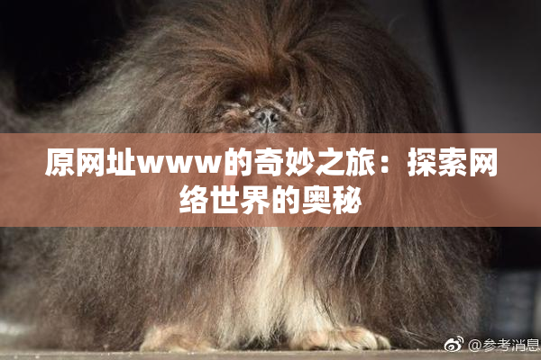 原网址www的奇妙之旅：探索网络世界的奥秘