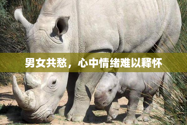 男女共愁，心中情绪难以释怀