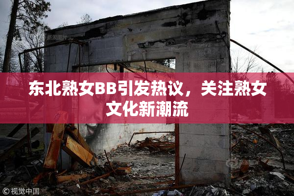 东北熟女BB引发热议，关注熟女文化新潮流