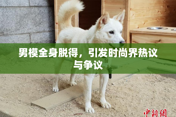 男模全身脱得，引发时尚界热议与争议