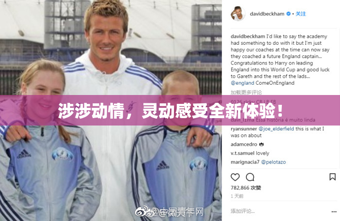 涉涉动情，灵动感受全新体验！