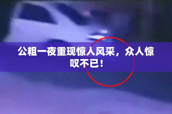 公粗一夜重现惊人风采，众人惊叹不已！